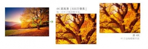 4Kֱʘ(bio)(zhn)Y(ji)TI XPR g(sh)ṩ^830fЧأ׌(x)(ji)F(xin)